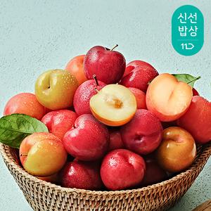 [품질보장] 경북 햇 자두 소과 2kg (44과내외) / 새콤달콤 풍부한 과즙 / 6월 16일 첫 출하