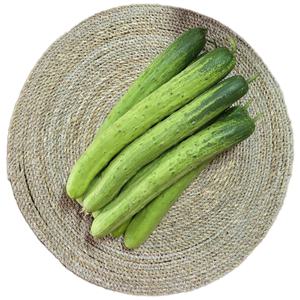 가정용 백다다기 오이 2kg (2세트구매시1 kg 추가)
