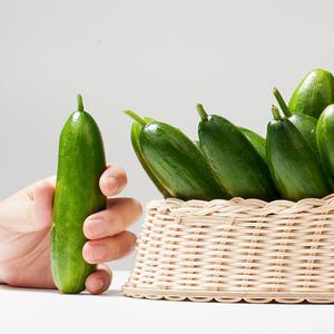 국내산 아삭 미니오이 1kg 2kg