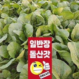 여수돌산갓,생갓 5kg