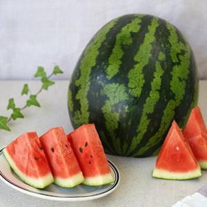 국내산 고당도 가정용 꿀 수박 7kg이상(7-8kg) 에어쉘포장