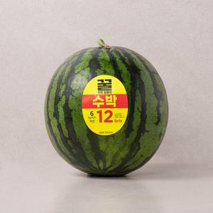 꿀처럼 달콤한 수박 5~6kg미만