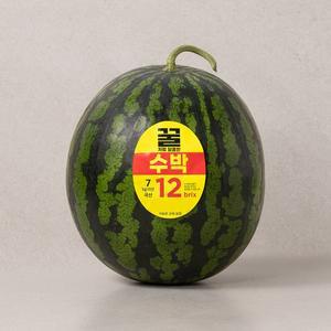 꿀처럼 달콤한 수박 6~7kg미만