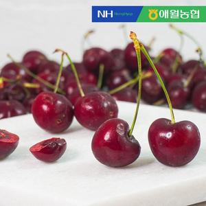 [애월농협] 제주에서 키워낸 체리 250g x 4팩