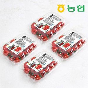 매장정품 자연맛남 농협 부여 스테비아 대추 방울토마토 2kg (500gx4팩1-3번) 56122