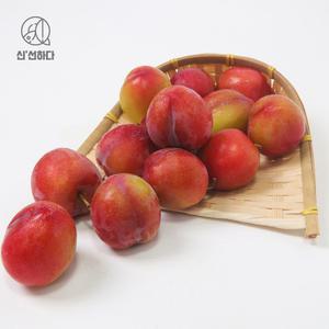 [신선하다] 경북 여름 자두 2kg (대석, 후무사, 도담, 추희)