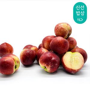 [품질보장] 달콤 백도맛 신비복숭아 1kg 15과내외