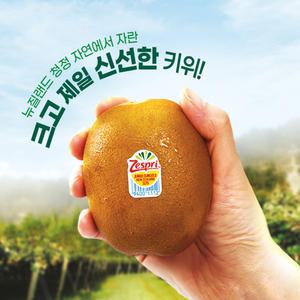 제스프리 썬골드키위 대왕점보 선물세트 3.1kg 20입내외(개당 155g내외) 프리미엄과일