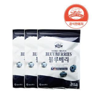 냉동 블루베리 미국산 1Kg x 3개 베리필드