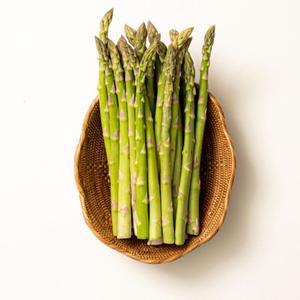 강원도 당일수확 아스파라거스 1kg