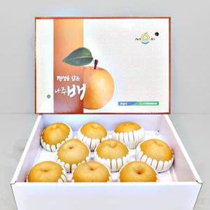나주배 과일선물 신고배 특품 배 7.5kg 11-13과 추석 설 명절