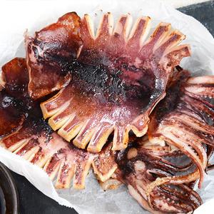 완도맘 원양산 반건조오징어 대 10마리 1.5kg 국내가공