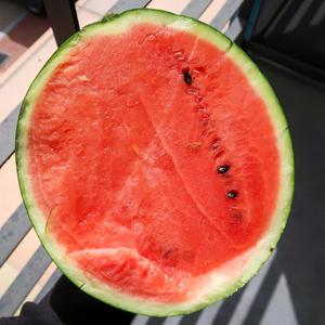 고당도 못난이 랜덤과 꿀수박 4KG 이상 당도선별 10brix 이상 맛있는 수박