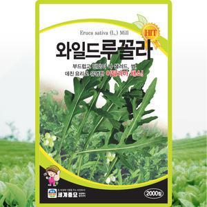 세계종묘 와일드루꼴라 씨앗 2000립 와일드 루꼴라씨 이탈리아 채소 종자