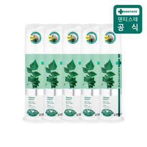 [덴티스테]치약 뉴플러스화이트 펌프 170g 5개