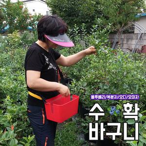양손 수확바구니 블루베리 아로니아 오미자 앵두 소형열매 수확바구니