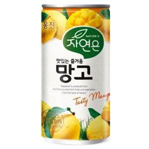 웅진 자연은 망고 180ml x 30캔