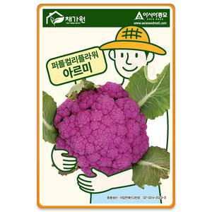 콜리플라워 씨앗 100립 퍼 컬리플라워 씨앗 씨 종자