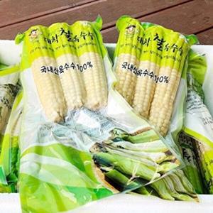 급속 냉동 괴산대학찰옥수수 40개입 못난이