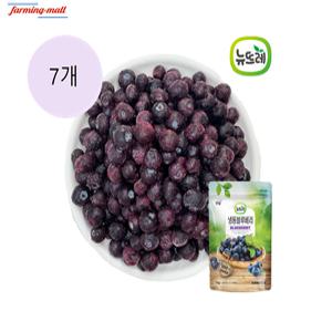 [보금푸드] 뉴뜨레 냉동 블루베리 미국산 1kg x 7개