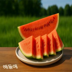 [해들애] 고당도 흑수박 검은수박 산지발송 블랙펄 블랙워터멜론