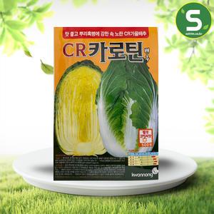 가을배추씨앗 500립 CR카로틴배추 김장 씨앗 종자
