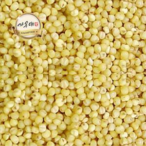 [가온애] 메조 500g / 잡곡 혼합곡 차조 기장 수수 조 깨 좁쌀 잡곡쌀 슈퍼푸드 잡곡류 30종 모음