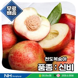 경산농협 신비복숭아 2Kg 중,대과(개당중량 110g 이상)