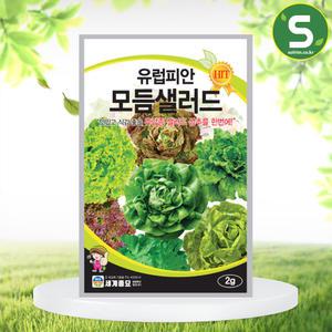 유럽피안모듬샐러드 2g 상추씨앗 고급 유럽 혼합 상추