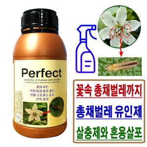 총채벌레유인제 퍼펙트 약 500ml 텃밭 화분 꽃속 싹 고추 참외 배추 총채벌레농약보조제 퇴치살충제보조제