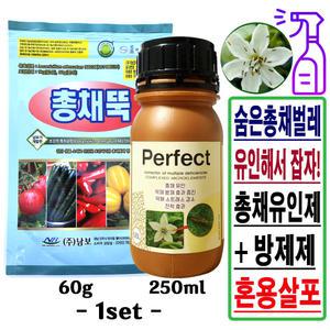 총채벌레 유인제 비료 퍼펙트 250ml+총채뚝 살충방제제 약 60g_1set 텃밭 화분 꽃 고추 상추 바이러스 예방