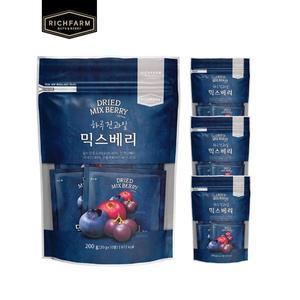 [리치팜너트](강남점)하루건과일 믹스베리20gx40봉