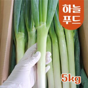(5KG/Box) 수입 식자재 깐파 손질대파 신선대파 원산지:중국