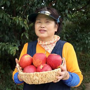 [농부들의수확][경북 산지직송] 못난이지만 실속가득 ! 부사 사과 3kg 중과 11-14과