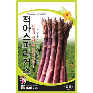 산들마켓 적아스파라거스 씨앗 40립 적색 아스파라거스씨 종자