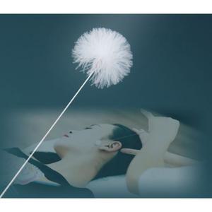 귀파개 깃털 청소 솜털 ALOHA 귀청소 귀이개세트 스틱 귀후비개 재질 도구 귀파기 세트