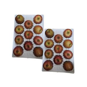 산지애 알뜰 못난이 사과 특대 4kg x 2박스