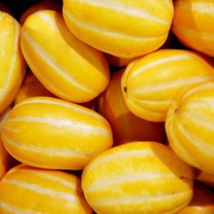 성주 꿀 참외 2kg 소과 12과 내외