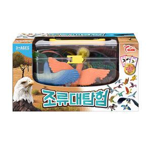 씽크토이 조류 대탐험