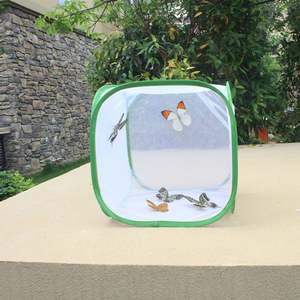 (당일출고) 곤총사육 곤충케이스 접이식 새장 망사 채집통 곤충사육 케이지 나비 30x30x30cm