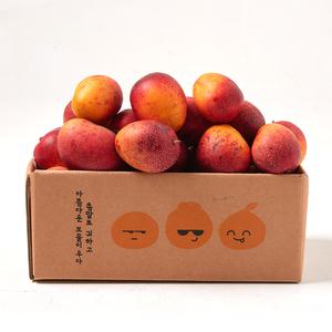 더모닝제주 미니애플망고 제주망고 꼬마애플망고 희오팜 국내산 망고1kg