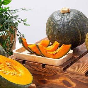 [더조은] 제주 미니 밤호박 (못난이 랜덤과) 10kg