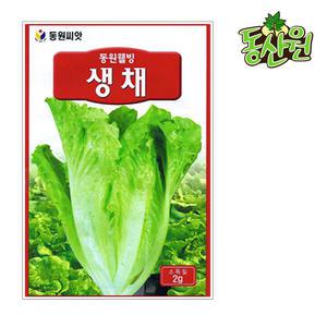 생채씨앗 2g 생채종자 쌈채소 채소씨앗