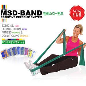 MSD-BAND 2M 라텍스고무 튜빙 근력 재활운동밴드