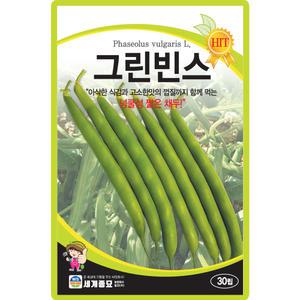 세계종묘 그린빈스 씨앗 30립 넝쿨성 짧은 채두 콩씨 종자
