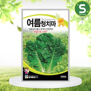 여름청치마 3000립 상추씨앗 여름 전용 상추 다수확