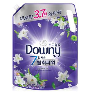 다우니 베이스 퍼플 화이트와 릴리 2.6L