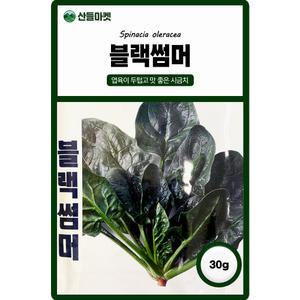 산들마켓 블랙썸머 시금치 씨앗 30g 노균병 강한 엽육이 두텁고 수량성이 높은 맛 좋은 시금치씨 종자