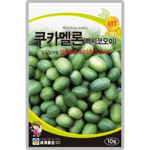산들마켓 쿠카멜론 오이씨앗 10립 포도알 처럼 작은 사이즈의 멕시코 오이씨 종자