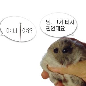 [틴틴파츠] T핀 50개 T자핀 티핀 키링 악세사리 비즈공예 부자재 재료